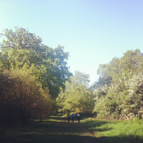 Starting out at 13km - beautiful!