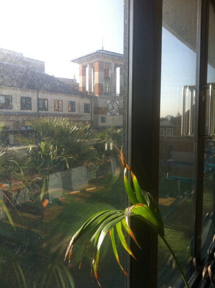 photo-1