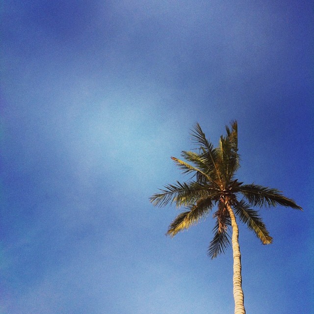 Today's activities #muscat